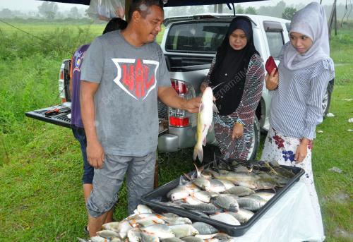 TR01_05112018_TENGKUJUH