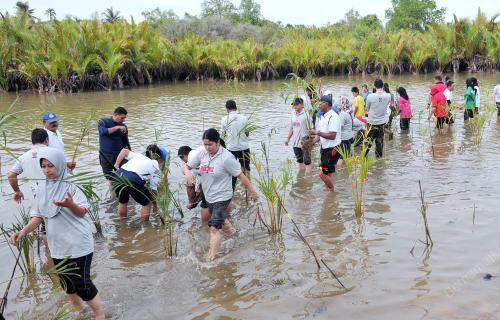 TR01_06072012_NESTLE_NIPAH