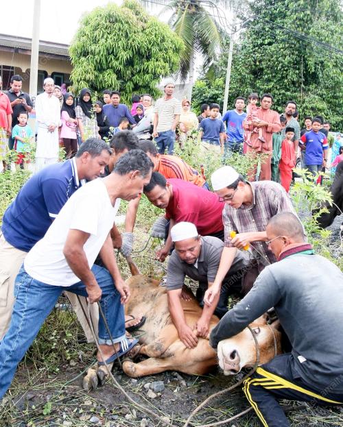QURBAN