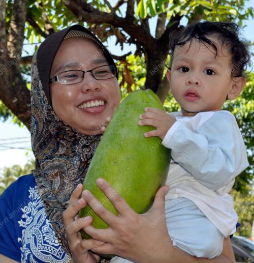 TR01_07062014_BUAH_MEMPELAM