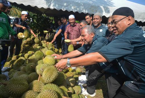 DURIAN PREMIUM PERCUMA