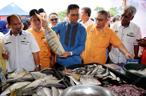 TR01_07082015_SHABERY_PASAR