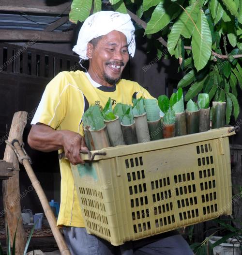 MOHD ZAILANI MOHD NOR