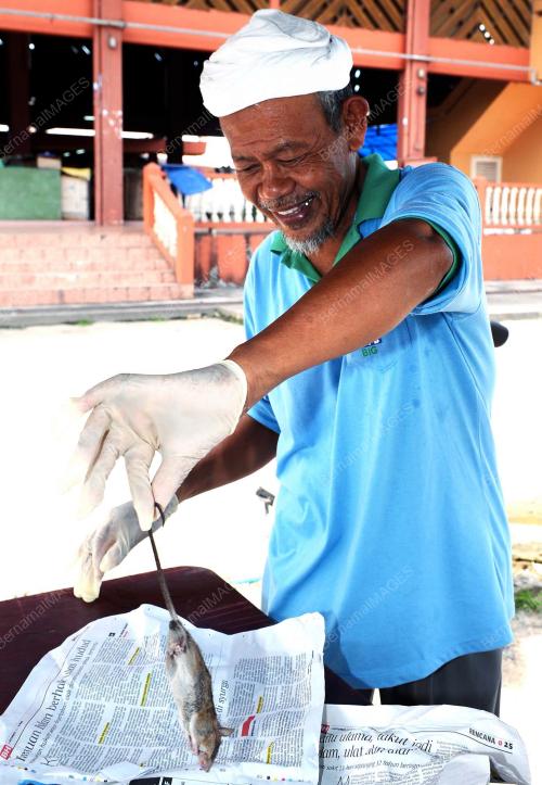 TR01_08102012_BASMI_TIKUS