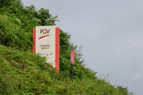 TERENGGANU_FGV