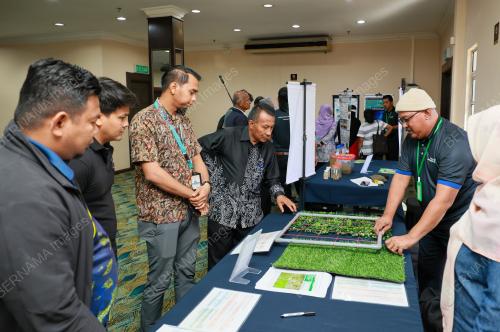 RUMPUT LAUT