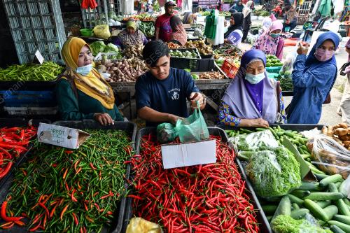 TINJAUAN_SAYUR