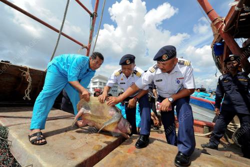 TR01_11082017_APMM_NELAYAN_BN201708102569