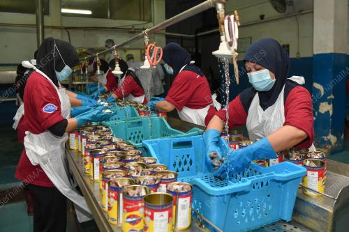 PRODUK IKAN SARDIN