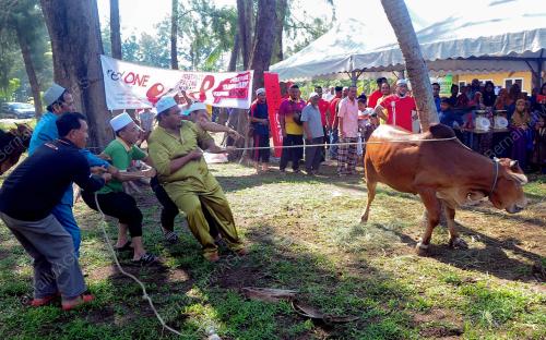 HARI RAYA AIDILADHA