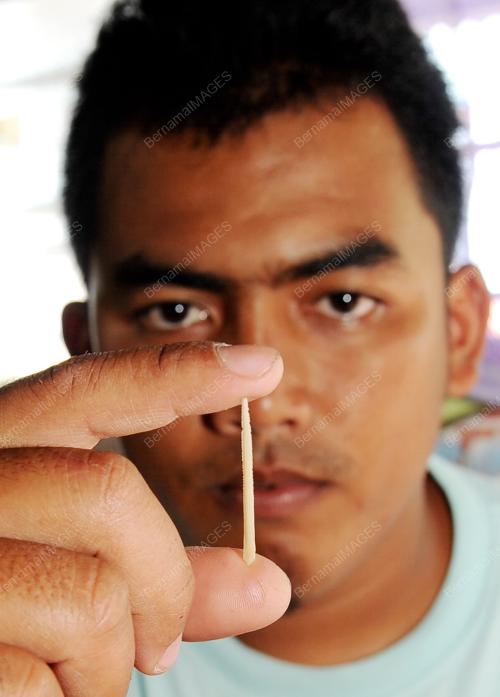 CHE MOHD NURUL CHE ANUAR