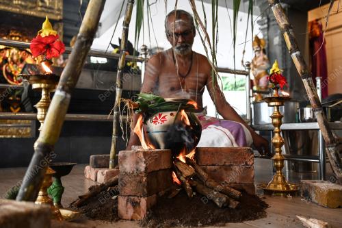 PESTA PONGGAL