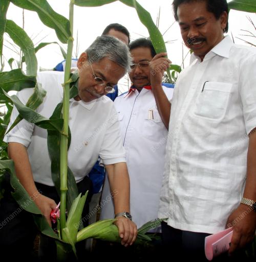 IDRIS JUSOH