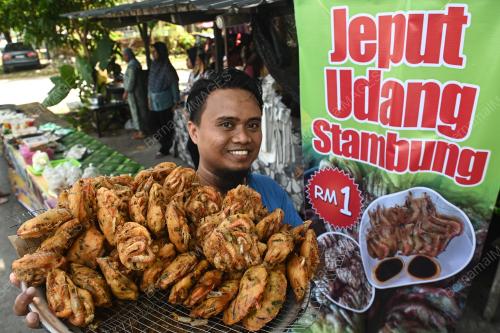 JEPUT UDANG STAMBUNG