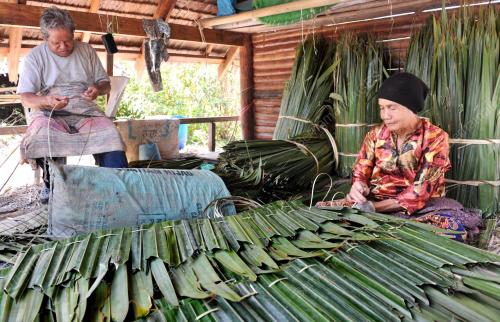 TR01_16022012_ATAP_NIPAH