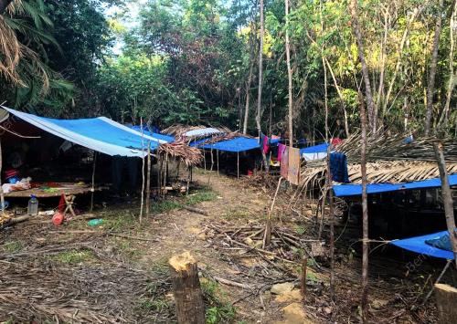 TR01_16062019_ORANG_ASLI