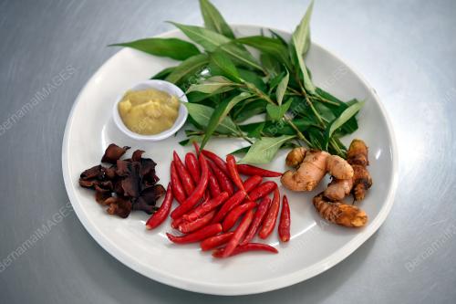 IKAN PATIN MASAK TEMPOYAK