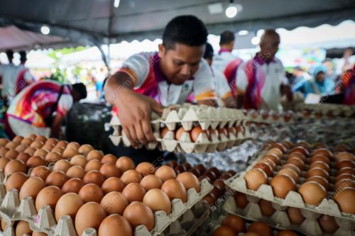 KARNIVAL JUALAN AGRO MADANI @TERENGGANU