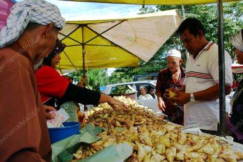 PERSIAPAN AIDILADHA