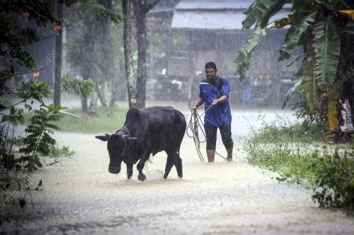 HUJAN LEBAT