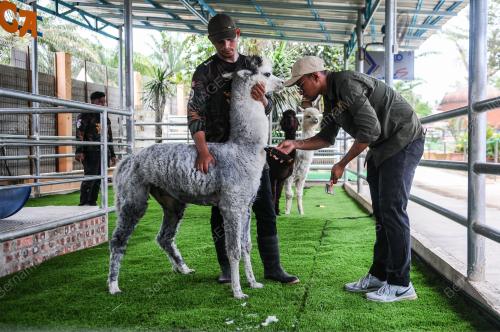 TINJAUAN CUACA PANAS
