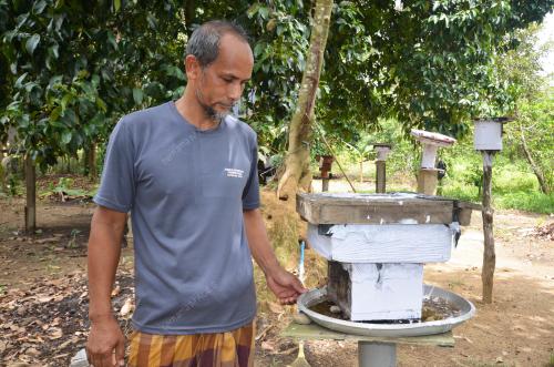 ISMAIL MAHMUD