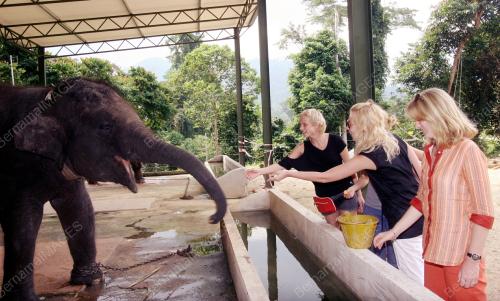 SANTUARI GAJAH