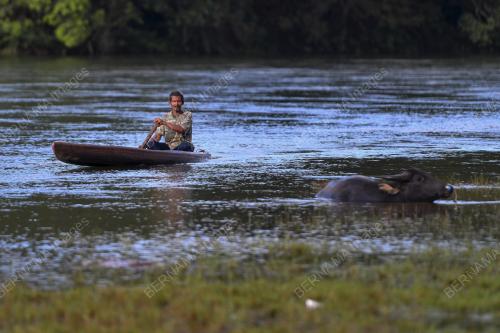 MENJALA IKAN