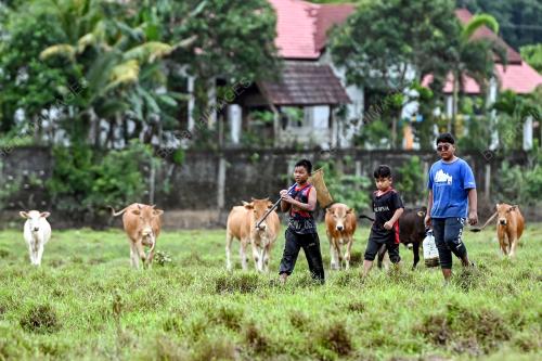 TINJAUAN CUTI HUJUNG MINGGU