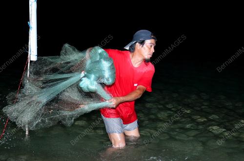 MENJALA SOTONG