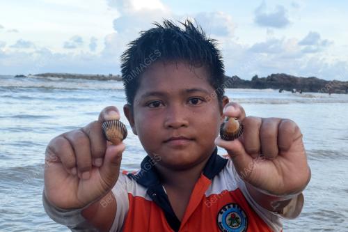 FENOMENA KERANG TERDAMPAR DI PANTAI