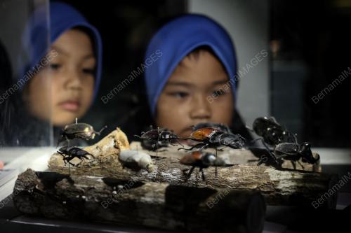 PAMERAN ALAM HAIWAN