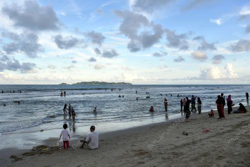 SIPUT LAUT MUSIM TENGKUJUH