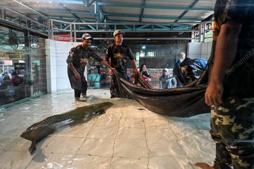PERIKANAN NEGERI TERENGGANU