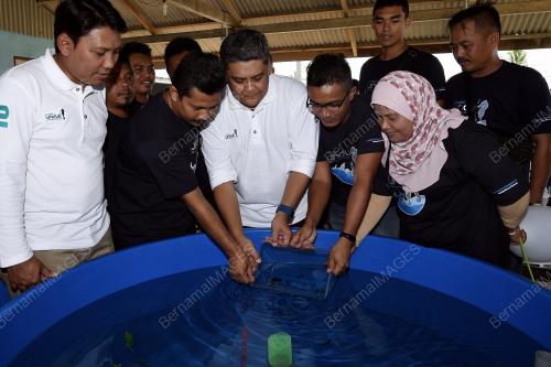 TR01_24072018_KUDA_LAUT_BN201806130772