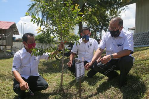 DATUK AHMAD AMZAD HASHIM