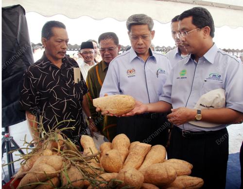 MUSTAPA MOHAMED