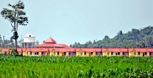 TR01_25092013_AGRO_KAMBING