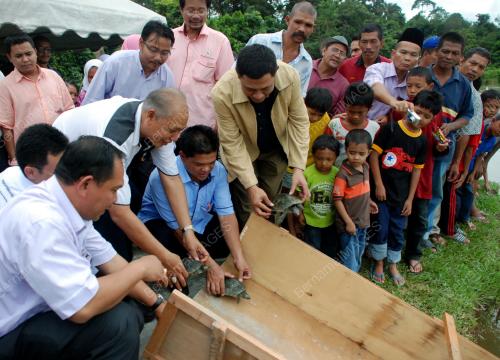NAWI MOHAMAD