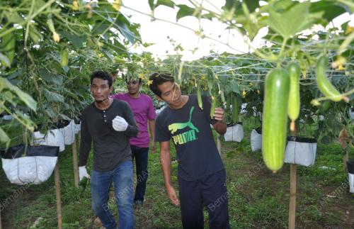 TR01_26052019_TEKNOLOGI_FERTIGASI_GANTUNG