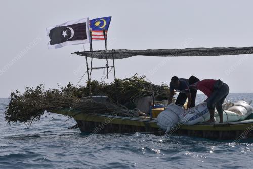 TR01_26082018_NELAYAN_UNJAM_BN201808196209
