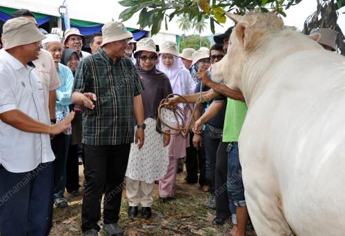 TR01_26092019_PELADANG