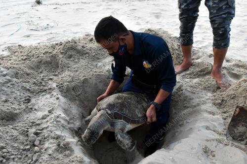 PENYU AGAR DITEMUKAN MATI
