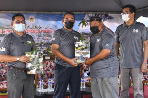 PENANAMAN POKOK