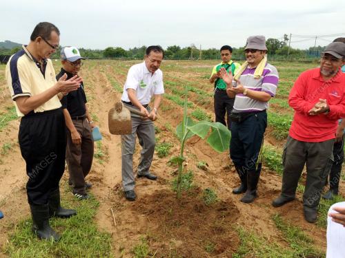 TR01_27062016_TANAM_POKOK