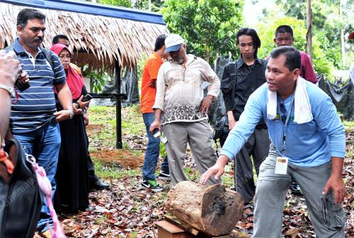 TR01_27092012_MADU_KELULUT