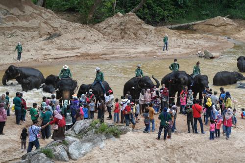 PERKAMPUNGAN KONSERVASI GAJAH KENYIR