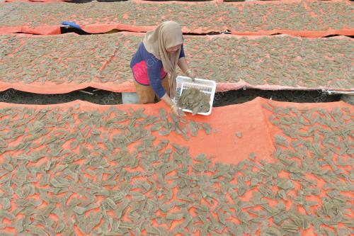 TR01_28022019_CUACA_KEROPOK_BN201902281989