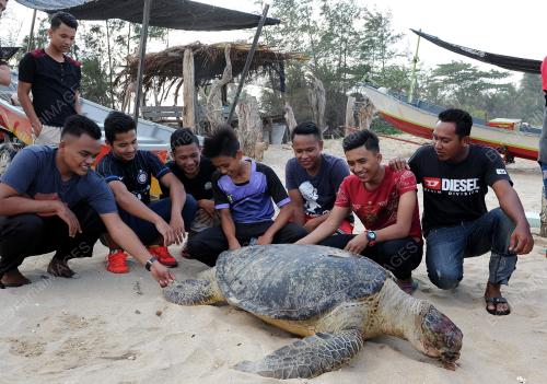 TR01_28032016_PENYU_MATI