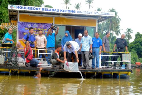 TR01_28082017_UDANG_GALAH